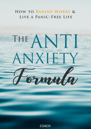 THE ANTI ANXIETY FORMULA