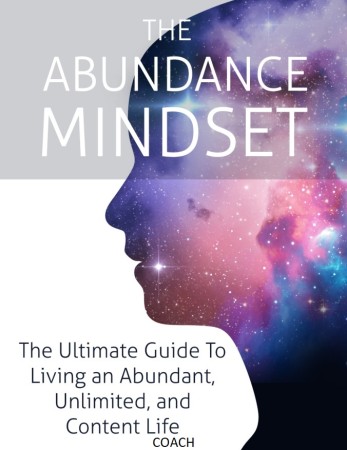 THE ABUNDANCE MINDSET