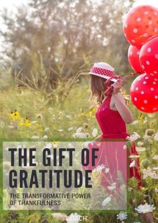 THE GIFT OF GRATITUDE